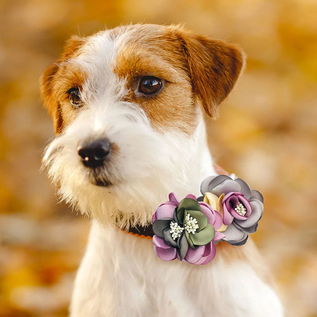 Adorable Pet Collar Bowties Set for Dogs & Cats: Exquisite Flowers, Movable Bows - 10 Pcs