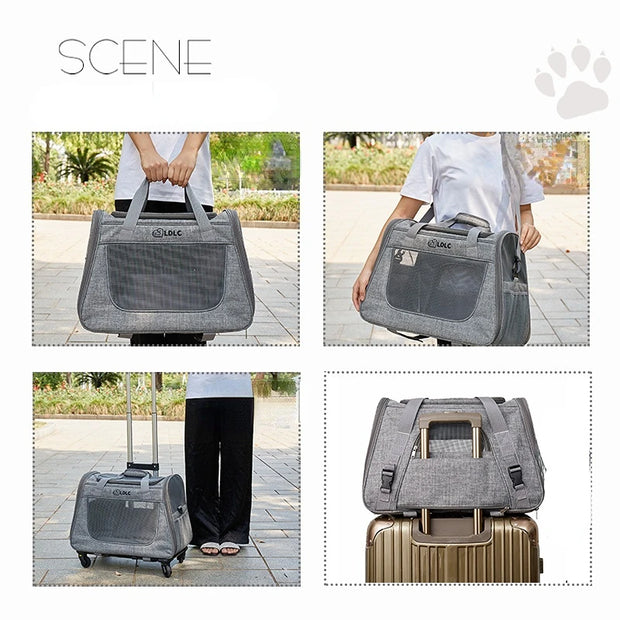 Pet Paws on the Go! Portable Pull Rod Carrier for Cats & Dogs - Outing Essential
