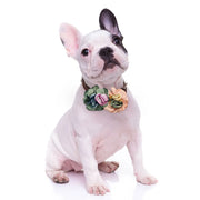 Adorable Pet Collar Bowties Set for Dogs & Cats: Exquisite Flowers, Movable Bows - 10 Pcs